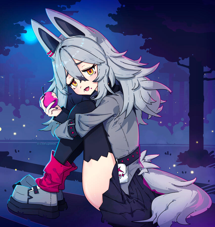 No. 0261 Poochyena (2026)